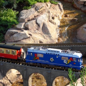 Mini Train