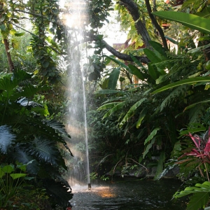 Poly Fountain