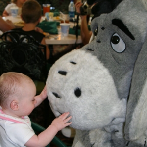 Meeting Eeyore