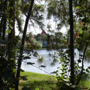 Caribbean Beach view from walkway