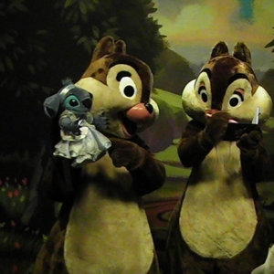 Chip & Dale meet Stitcherella