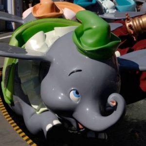 Disneyland Dumbo