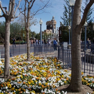 Disneyland DCA Tower of Terror
