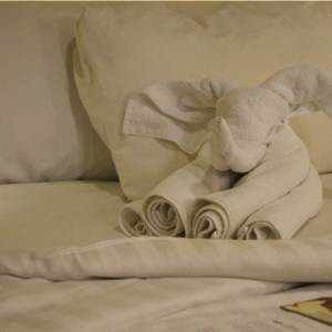 Dumbo the flying towel