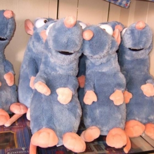 lots of rats