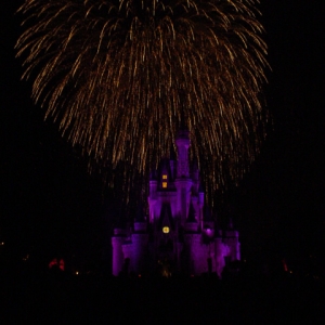When You Wish...