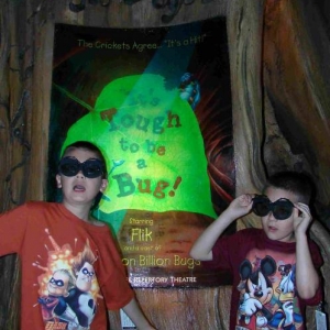 a bugs life
