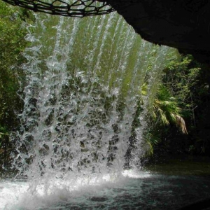the back of water
