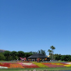 Butterfly Gardens