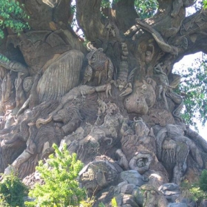 Tree Of Life