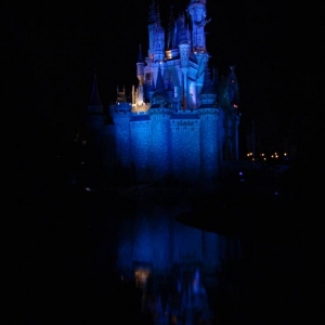Reflection of Cinderella's Castle