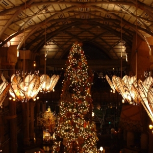 Christmas at Animal Kingdom Lodge