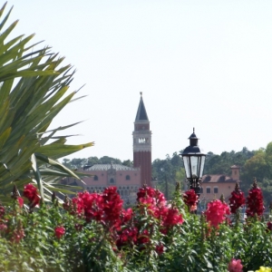 Italy through Flowers