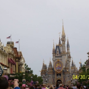 Magic kingdom