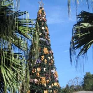 AK XMAS tree @ entrance