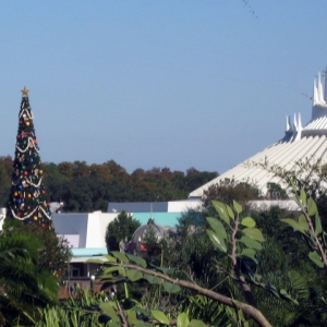 SM and XMAS tree from SFTH