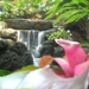 Poly Lobby Waterfall