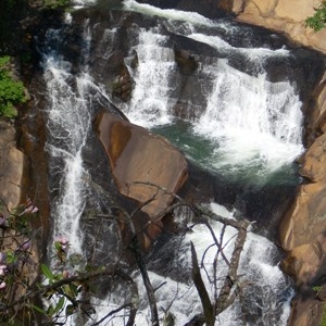 N. Carolina