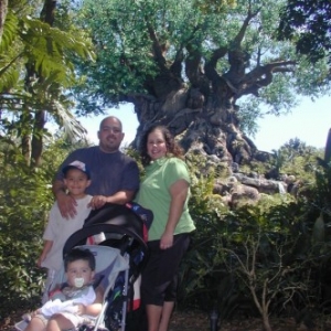 Tree of Life @ Animal Kingdom