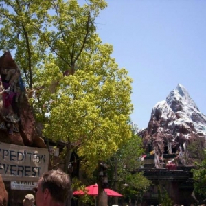 A New Adventure Awaits Disney's Animal Kingdom