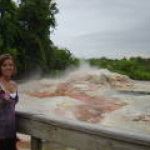 Gyser at Wilderness Lodge