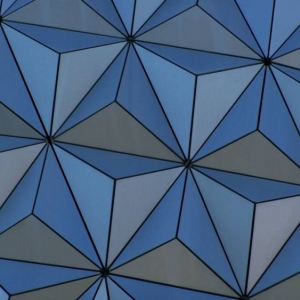 Epcot Close Up