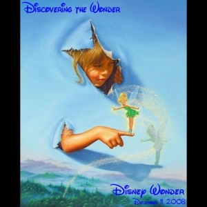 Discovering the Wonder