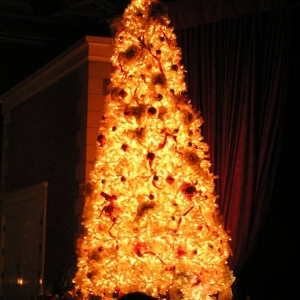 American Theater Christmas Tree