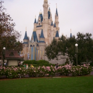 Plaza Rose Garden View