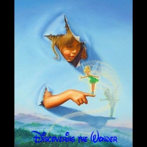 Dicovering the Wonder2