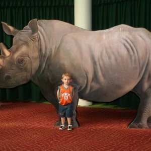 Ryan and the Rhino