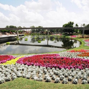Epcot Flower & Garden Festival