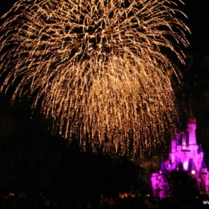 Wishes