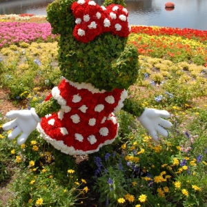 Minnie's Butterfly garden
