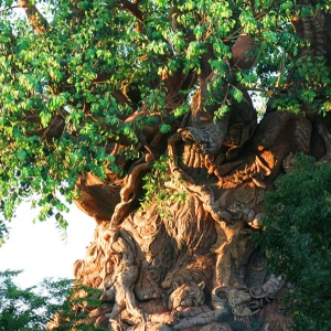 Tree of Life