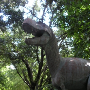 Forest Primeval