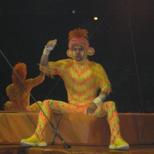 Tumble Monkeys