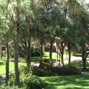 Disney_2007_163