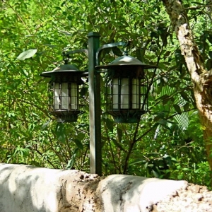 Lighting the way
