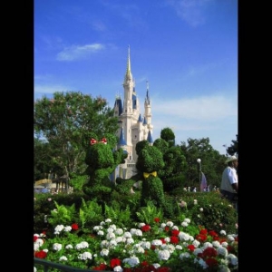 Mickey and Minnie topiaries