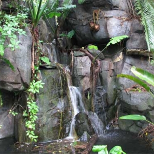 Animal Kingdom Lil' Waterfall