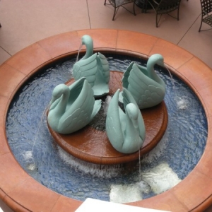 swans_600_x_450_