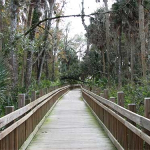Celebration Trail