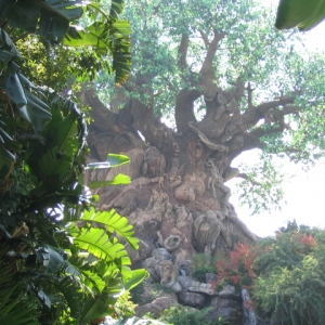 The Tree of Life