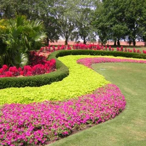 Epcot - Flower and Garden 5-2004