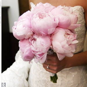peony