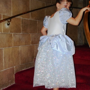 glass slipper