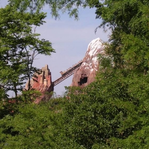 Everest, May 2007, Animal Kingdom Grounds