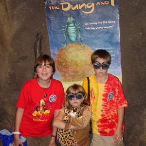 bugs life