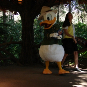Donald